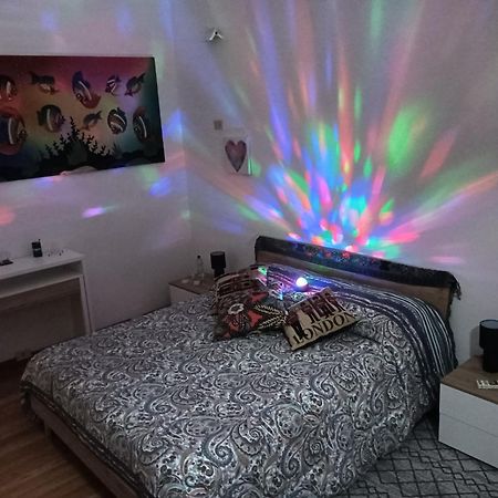 Вилла La Casa Di Marilyn In Fiera Болонья Экстерьер фото